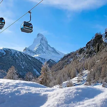 Mountain Paradise Hotell Zermatt