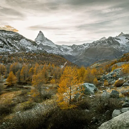Hotell Mountain Paradise